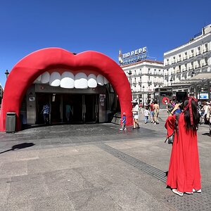 IMG_4199.jpeg