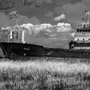 buque en la marisma.jpg