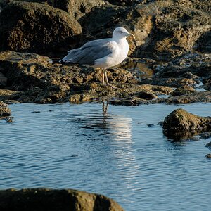 Fujinon 70-300mm 202509-3.jpg