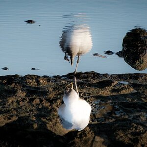 Fujinon 70-300mm 202509-10.jpg