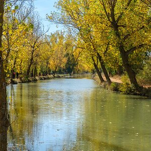 Canal de Castilla 33.jpg