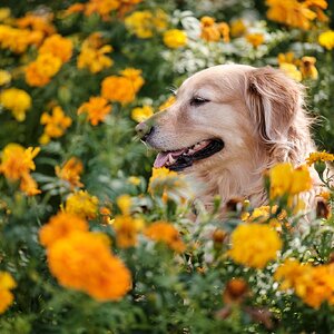 Media 'DSCF5842.jpg' in category 'Últimas fotos'