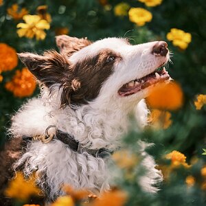 Media 'DSCF5901.jpg' in category 'Últimas fotos'