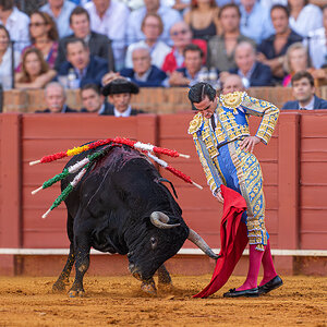 20250926@185020_430TOROS  DE VICTORIANO DEL RIO EN LA MAESTRANZA -   JUAN ORTEGA TORO EBANISTA...jpg