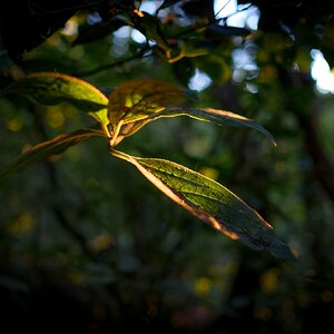 Olympus OM 85mm f2 - 102025-16.jpg