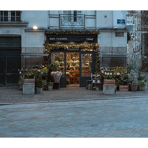 fotografo-nantes-francia-jean-tessier-fleuriste-plantas.jpg