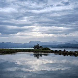 Parque natural de las marismas (Santoña).jpg