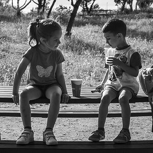 L1002484.jpg