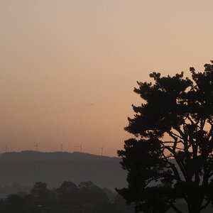 32. _X300799.JPG