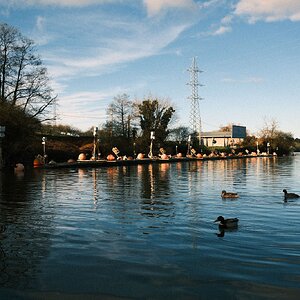 DSCF4539.jpg