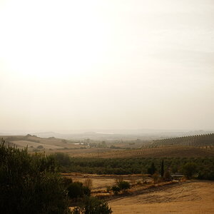 DSCF8012.JPG