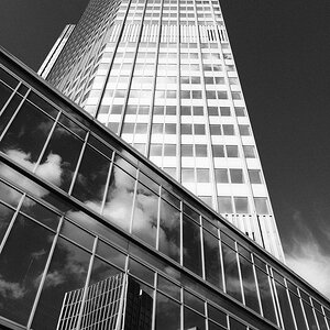 20260912-XS201004-sharpened.jpg