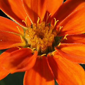 P9160197.JPG