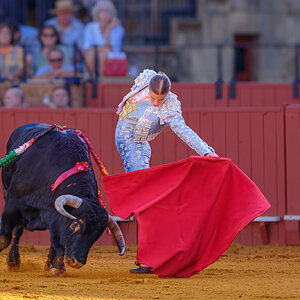 20260924@182249_700TOROS NOVILLADA MAESTRANZA GARCIGRANDE- -Editarred4000px.jpg