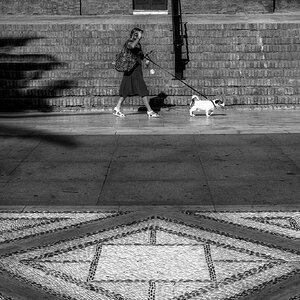 _DSF9064_013849.jpg
