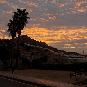 IMG_0885.jpeg