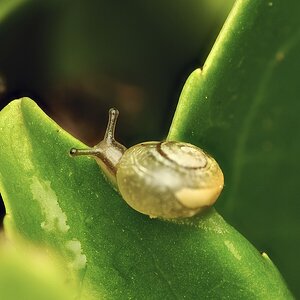 2026-10-02-08.48.56 ZS PMax.jpg