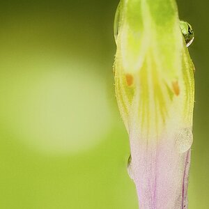 2026-10-02-08.44.47 ZS PMax.jpg