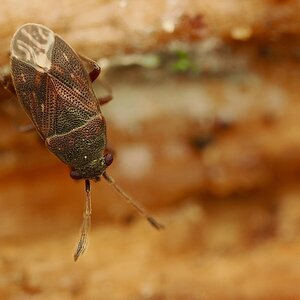 PA011866.jpg