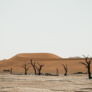 DSCF2683.jpg