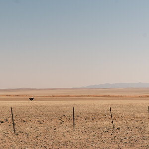 DSCF2893.jpg