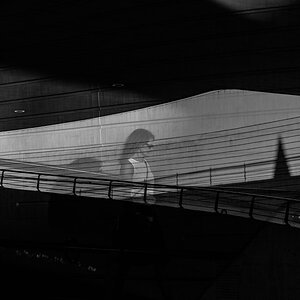 DSCF4695.jpg