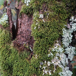 DSCF3677.JPG