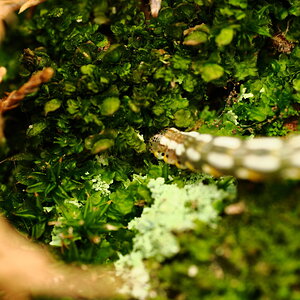 PA050775.JPG