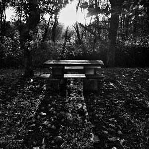 DSCF0078_SnapseedCopy.jpeg