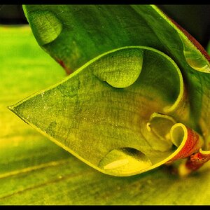 2026-10-11-16.55.41 ZS PMax_S.jpg