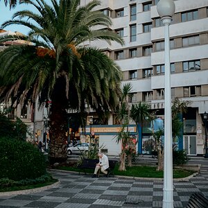 DSC_0258.jpeg