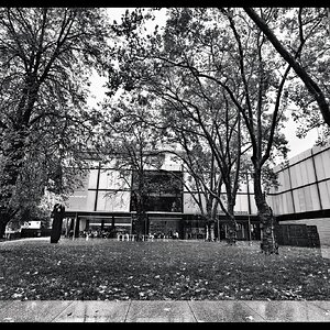 DSCF4413_SnapseedCopy.jpeg