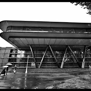 DSCF4489_SnapseedCopy.jpeg