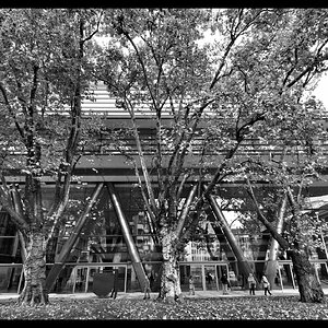 DSCF4431_SnapseedCopy.jpeg