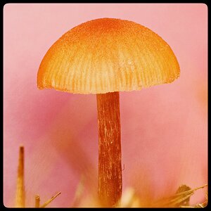 2026-10-18-16.40.24 ZS PMax_S.jpg