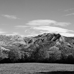 DSCF4446 1.jpg