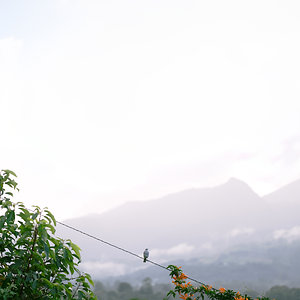 Desde Boquete, Panamá