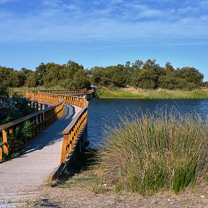 De vuelta a las Tablas de Daimiel.jpg