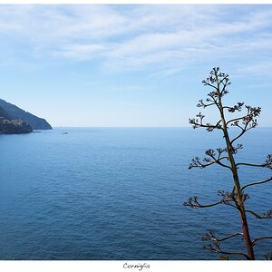 Corniglia_02.jpg