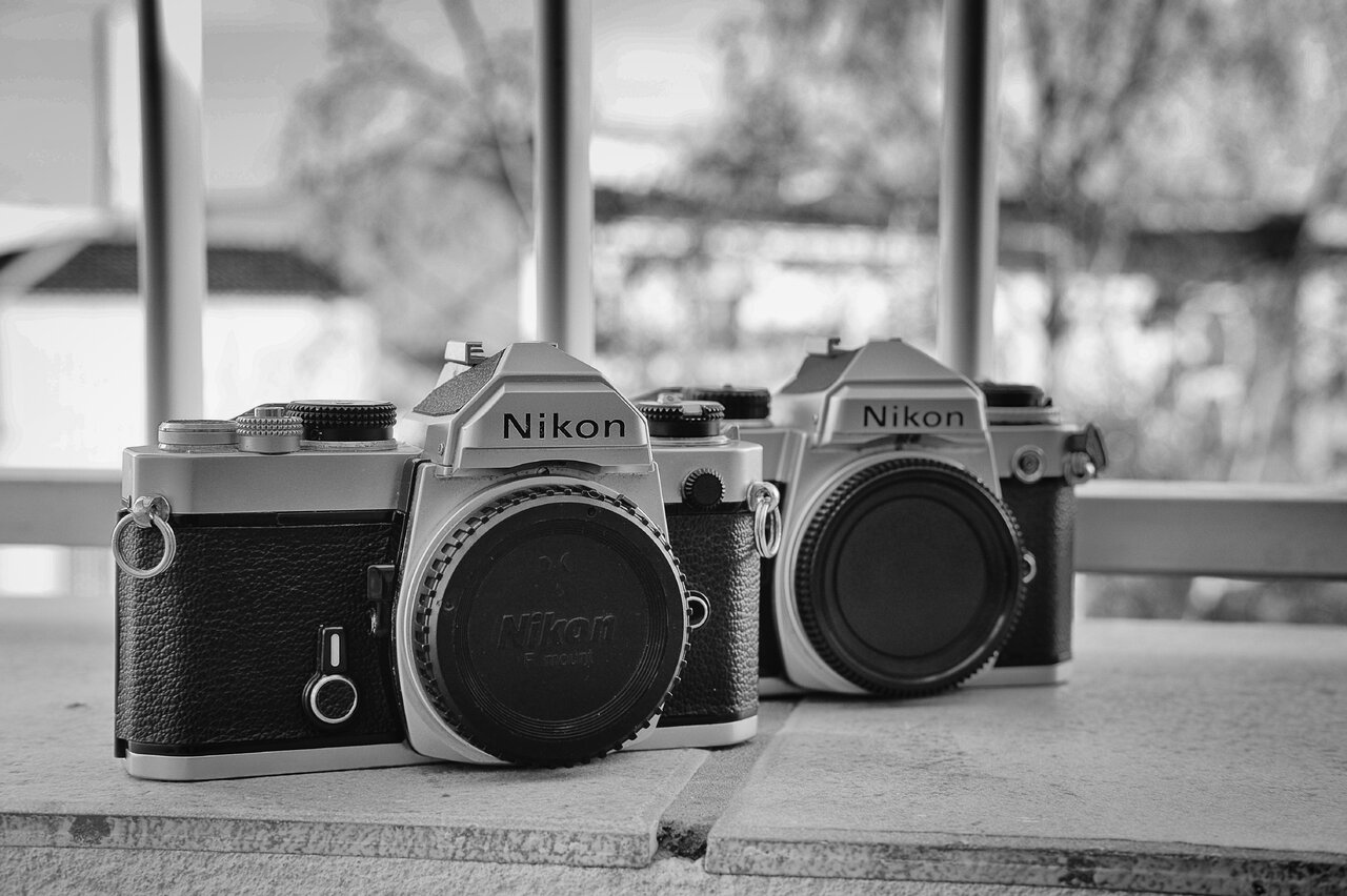 2 Nikon.jpg