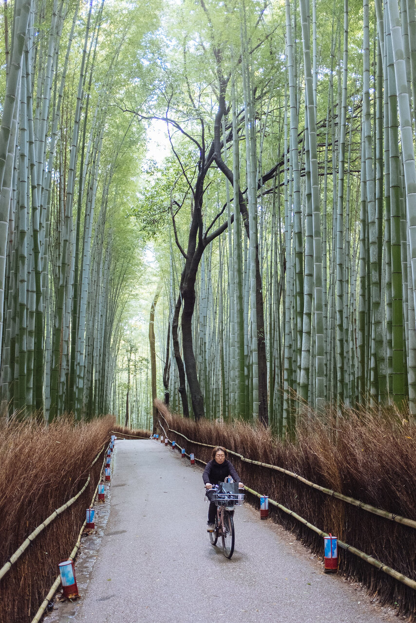 2015-kyoto.jpg