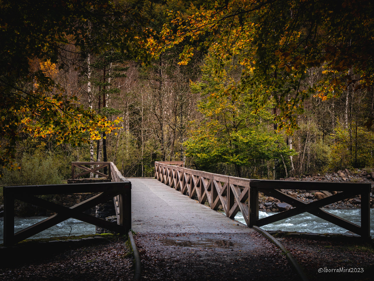 20231023_1045266-Mejorado-NRw.jpg