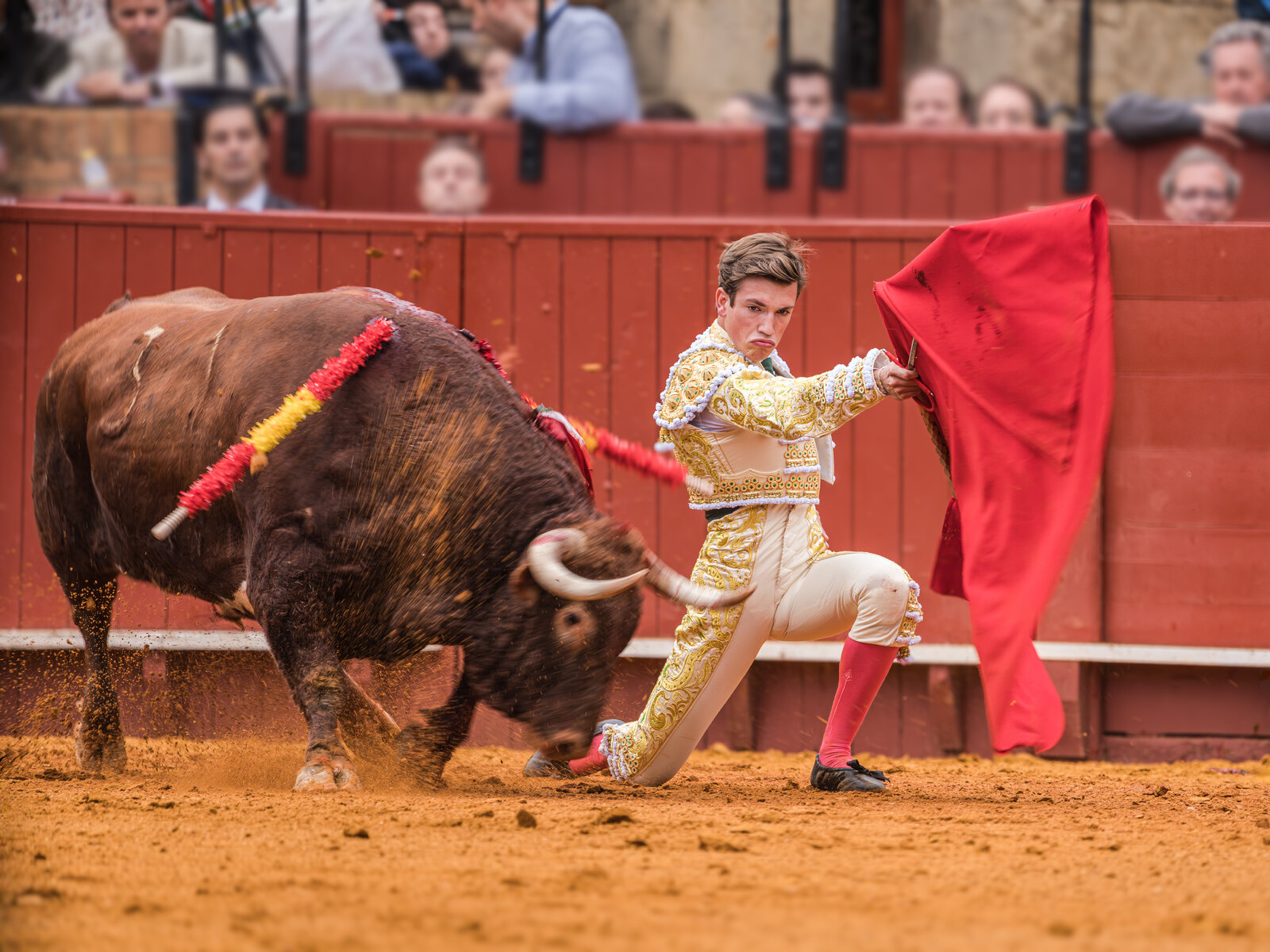 20250928@184944_310TOROS  DE NUÑEZ DEL CUVILLO   EN LA MAESTRANZA -   JAVIER ZULUETA (ALTERNAT...jpg