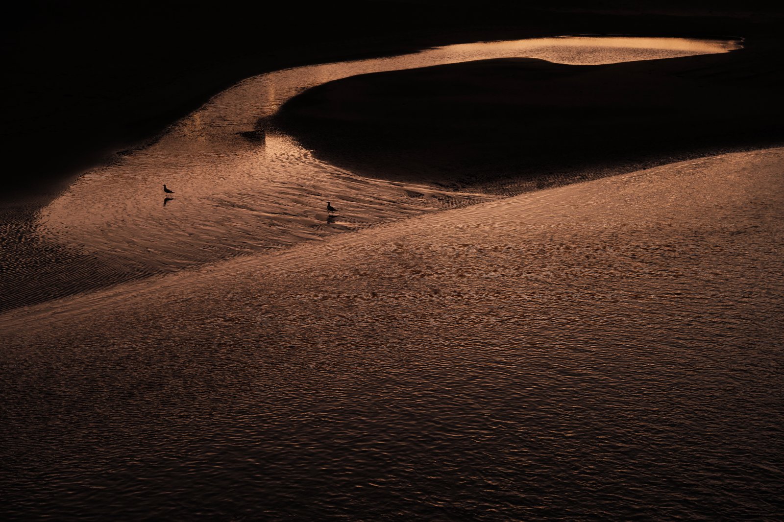 _DSF5876.jpg