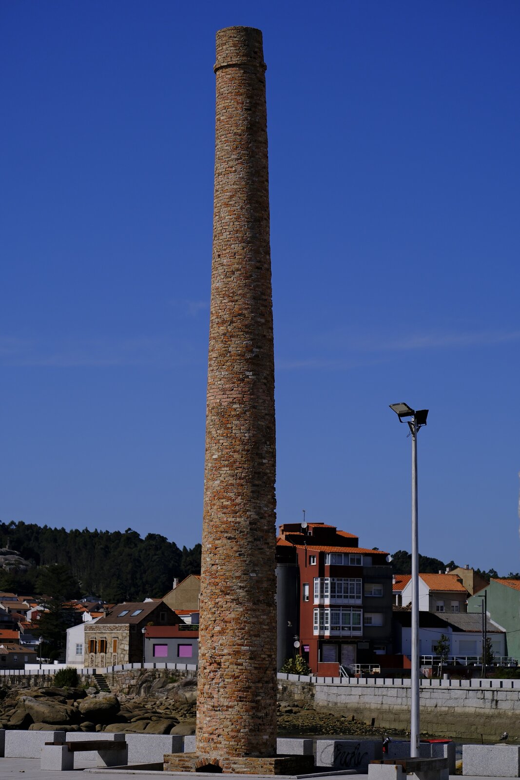 _DSF8489.JPG