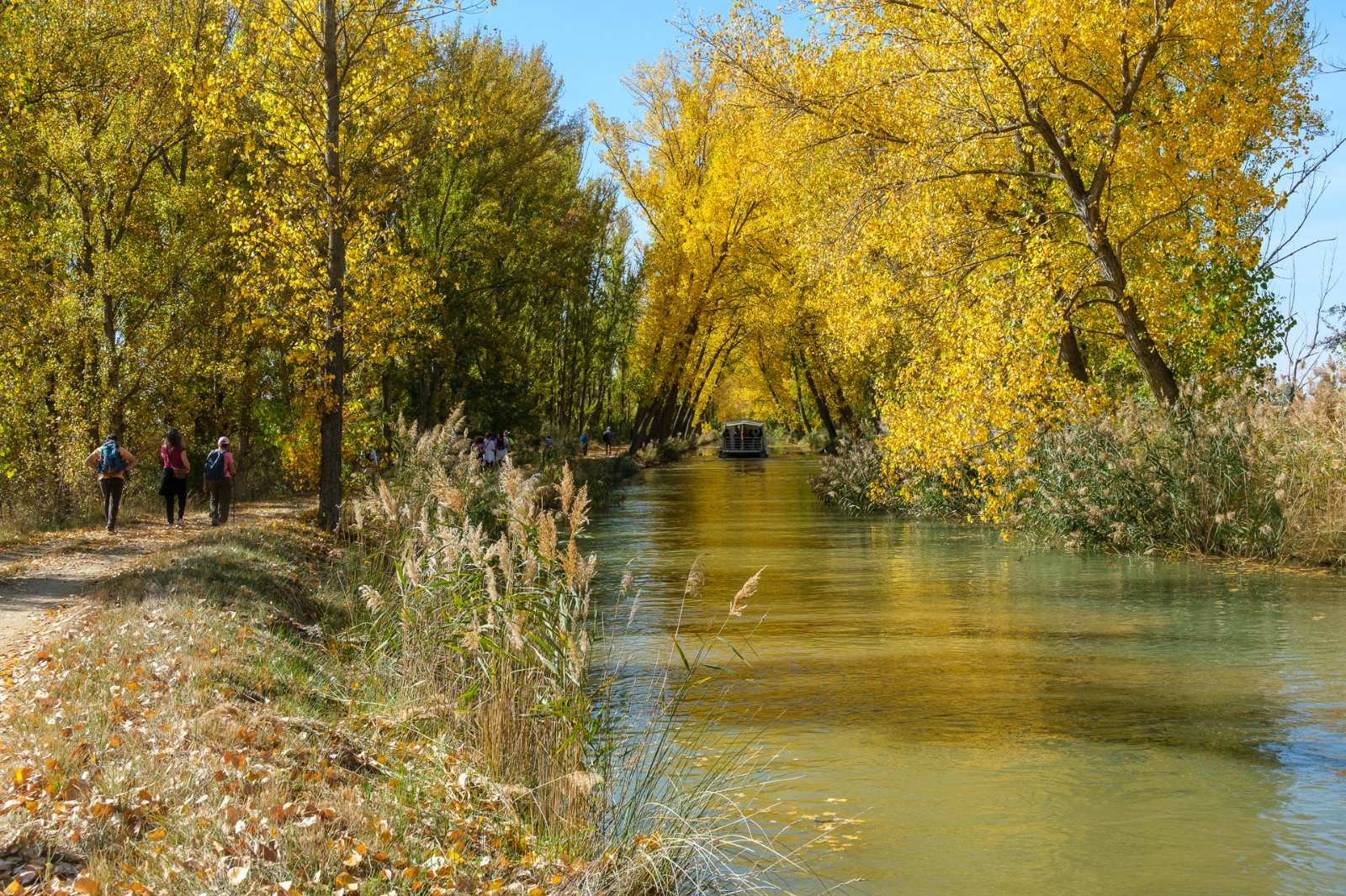 Canal de Castilla 29.jpg