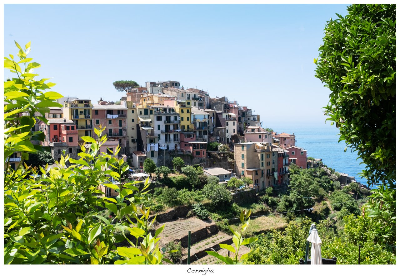 Corniglia_21.jpg