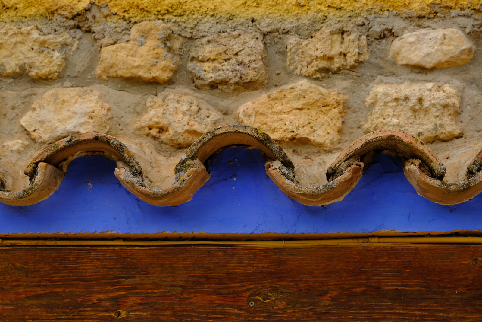 DSCF0558.JPG