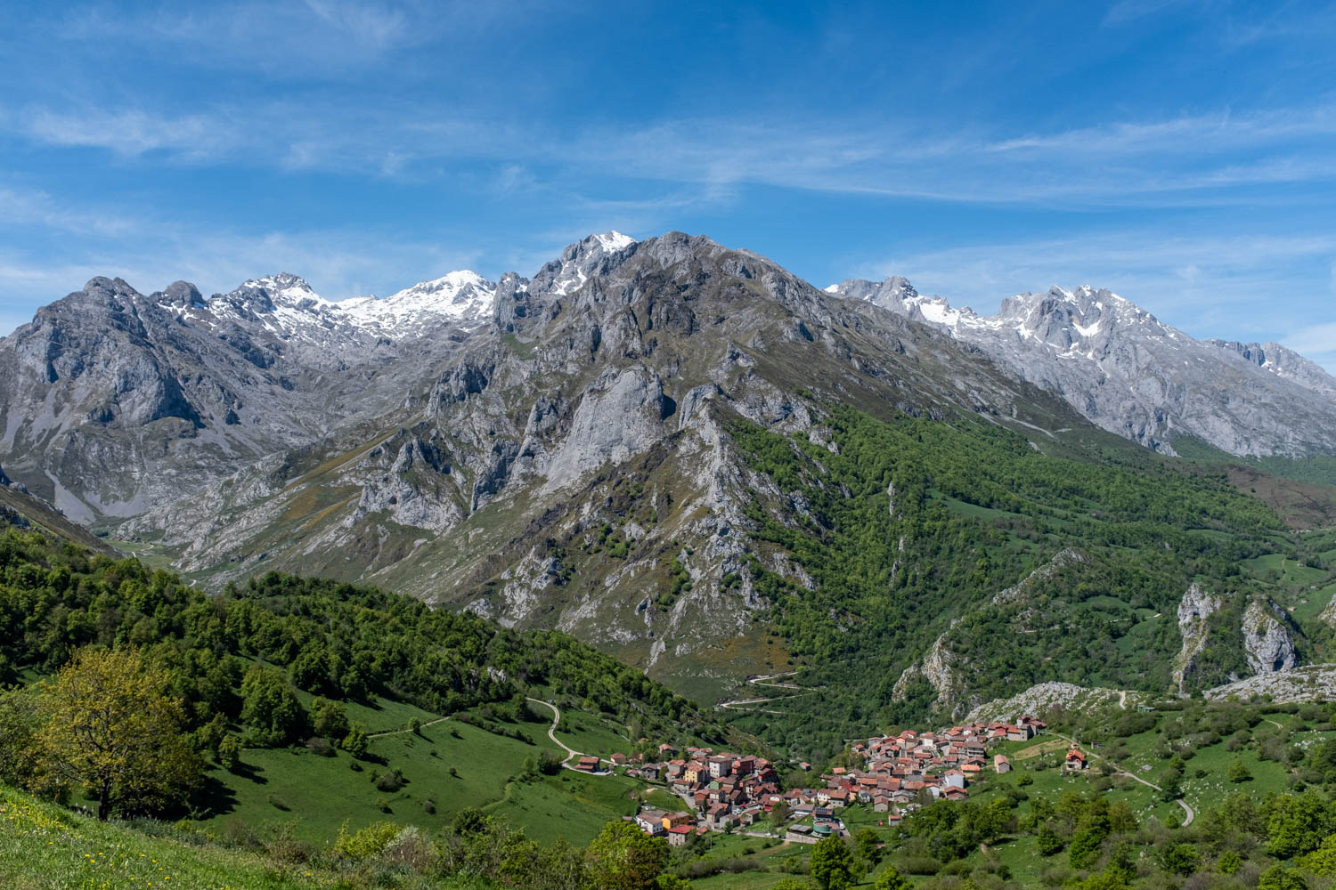 DSCF1182.jpg