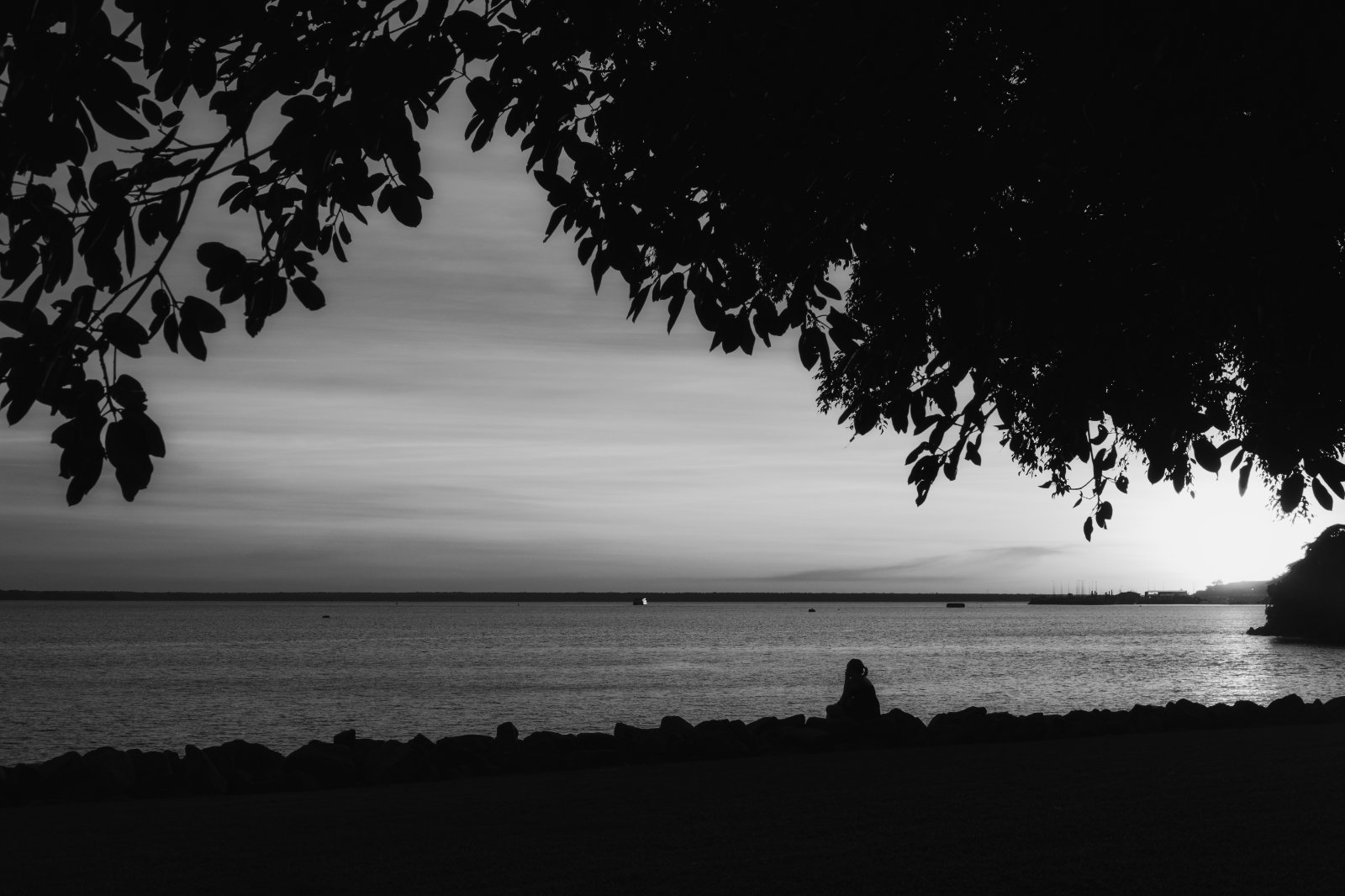 DSCF1599-2.jpg